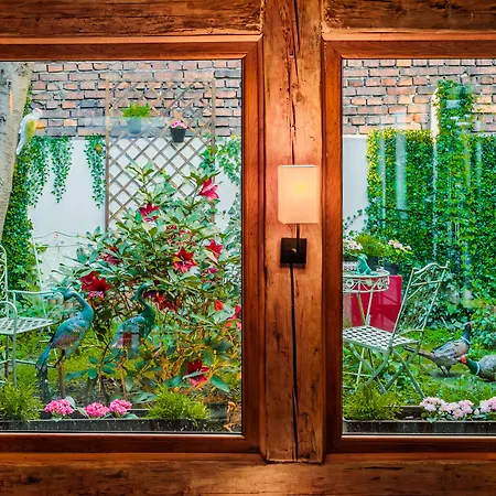Art & Garden Residence-3